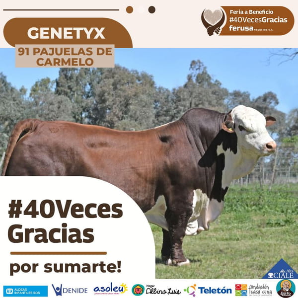 Lote 91 PAJUELAS DE CARMELO