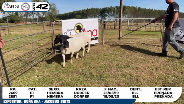 Lote LOTE 42