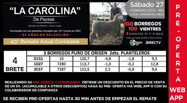 Lote 1 Borregos Planteleros en Cerro Largo, Cerro Largo