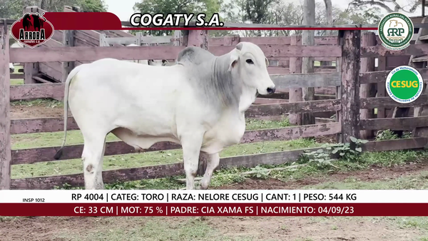 Lote TORO