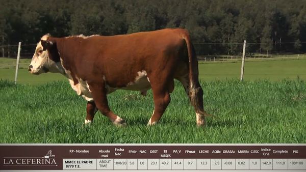 Lote MMCC EL PADRE 8779 T.E.