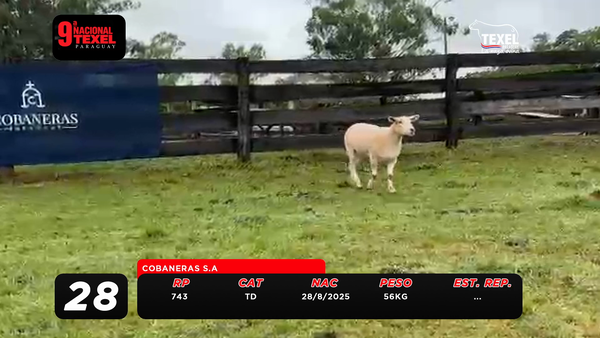 Lote LOTE 28