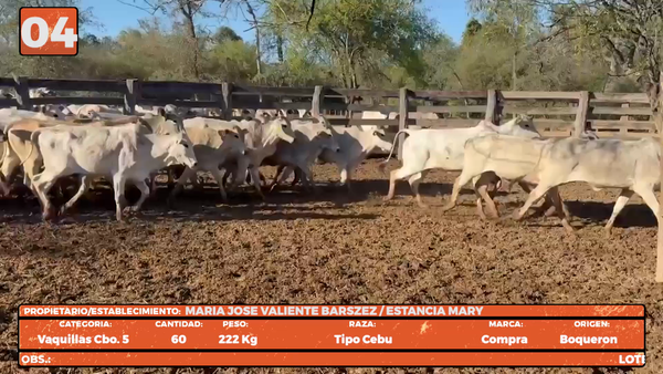 Lote LOTE 4