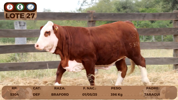 Lote LOTE 27 - RESERVA DE CABAÑA