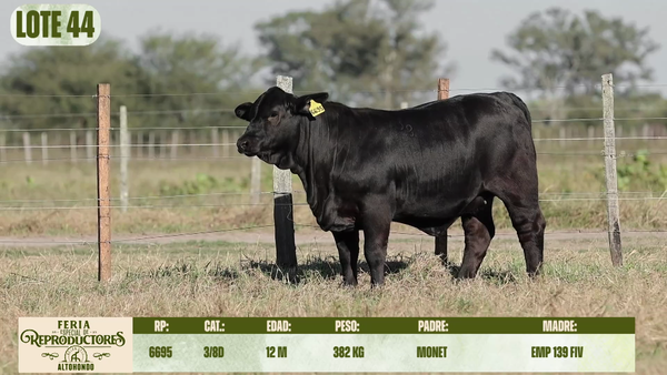 Lote LOTE 44- SALE A VENTA EL 50%
