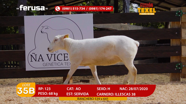 Lote Lote 35B