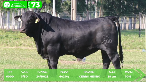 Lote LOTE 73