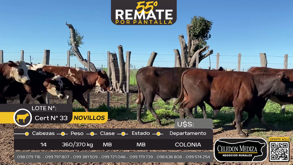Lote 14 Novillos en Las Víboras, Colonia
