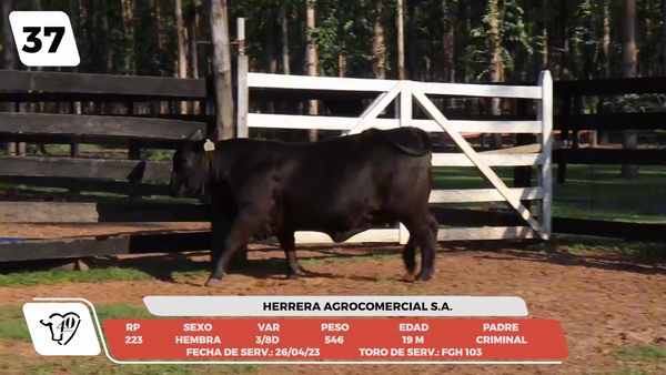 Lote LOTE 37-DE CAMPO