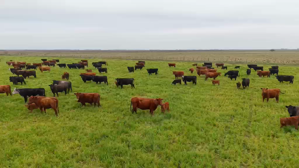 Lote 640 AL CTE MEDIO USO