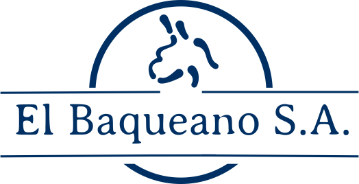 Lote Terneras sin servicio 40