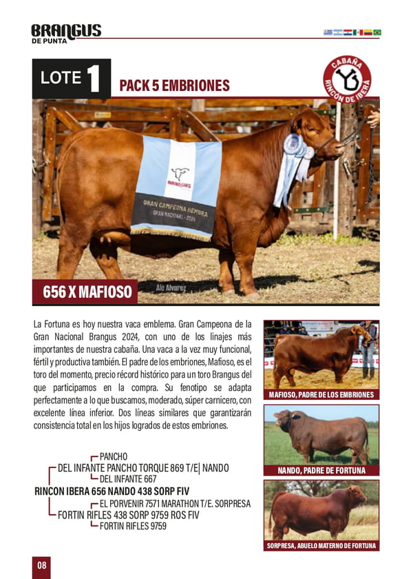 Lote PACK 5 EMBRIONES 656 X MAFIOSO