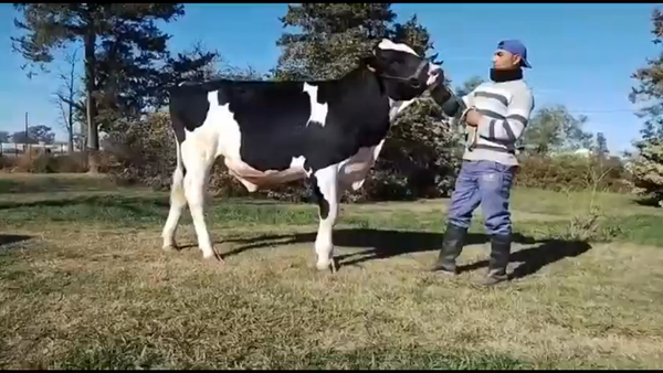 Lote Est. Don Francisco