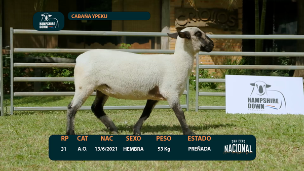 Lote LOTE 3 - CABAÑA YPEKU - RP 31