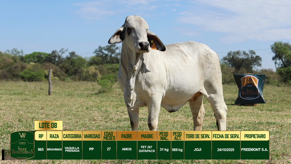 Lote LOTE 8