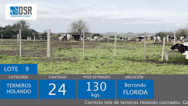 Lote 24 Terneros, Florida