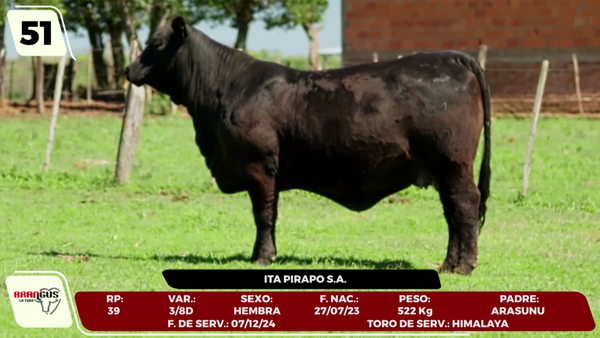 Lote LOTE 51 - CAMPO