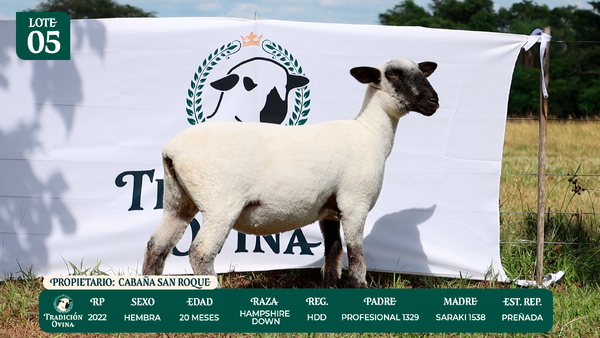 Lote LOTE 5