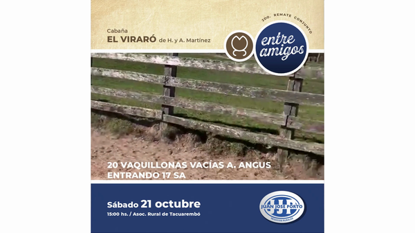 Lote "Cabaña ""El Viraró"""