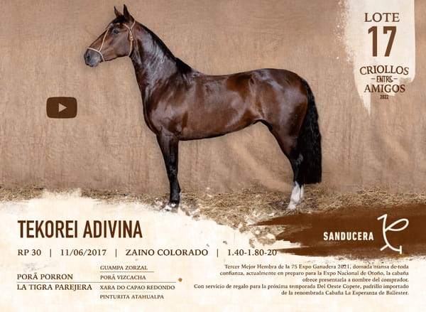 Lote TEKOREI ADIVINA RP 30
