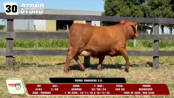 Lote LOTE 30 -DE CAMPO