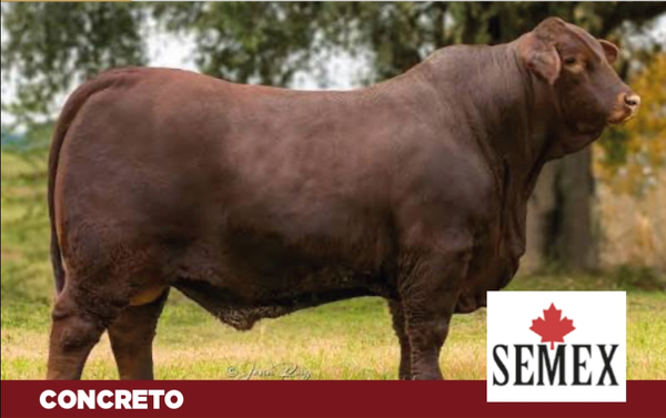 Lote PAQUETE 10 DOSIS