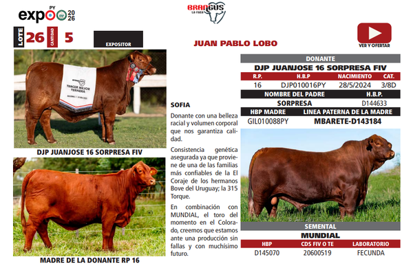 Lote LOTE 26