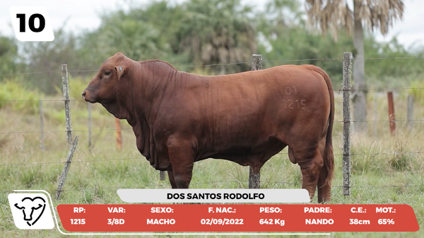 Lote LOTE 10
