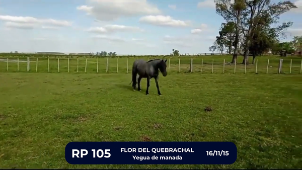 Lote FLOR DEL QUEBRACHAL