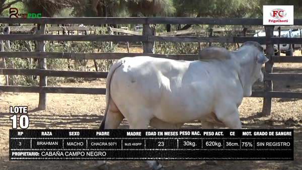 Lote CABAÑA CAMPO NEGRO