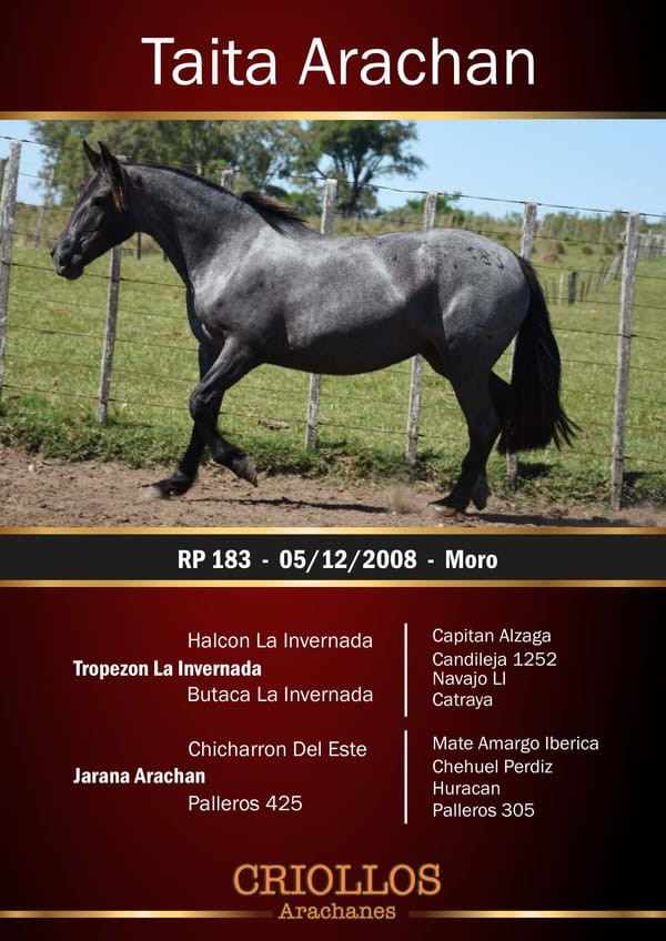 Lote Taita Arachán - RP 183