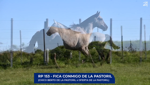 Lote Fica Conmigo de La Pastoril