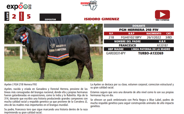 Lote LOTE 2