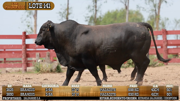 Lote LOTE 141 - PANTALLA