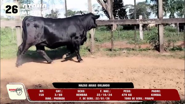 Lote LOTE 26 -DE CAMPO
