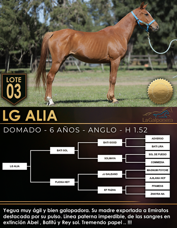 Lote LG ALIA