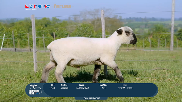 Lote LOTE 73 - BOZAL