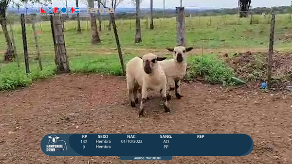 Lote LOTE 58 -  CAMPO