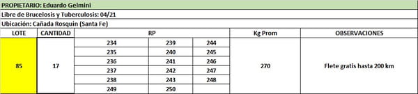 Lote Lote 85 Gelmini eduardo
