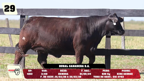 Lote LOTE 29 - DE CAMPO