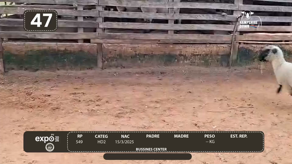 Lote LOTE 47 - CAMPO