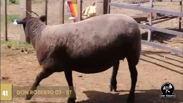 Lote Borregas, Canelones