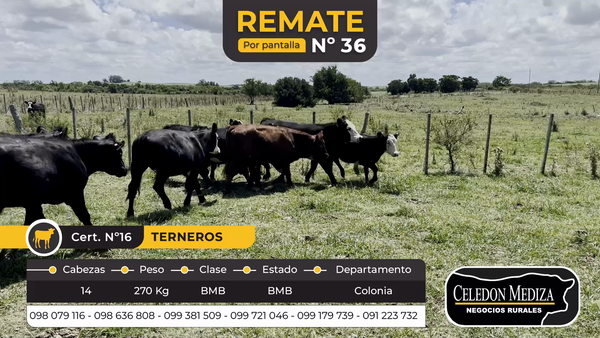 Lote 14 Terneros en Las Víboras, Colonia