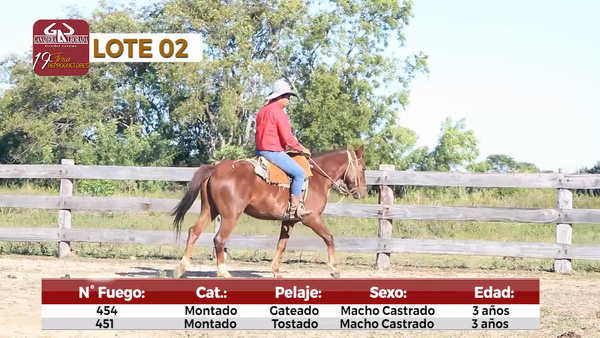 Lote Reproductores de Alborada - Lote 2