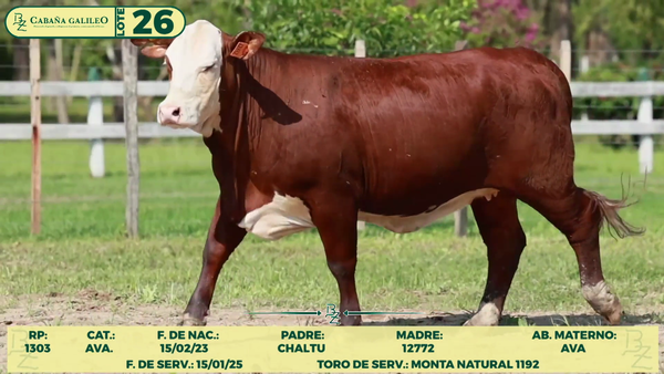 Lote LOTE 26
