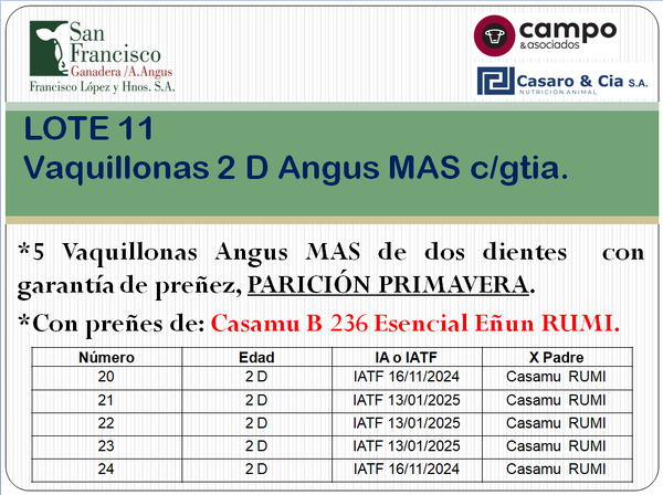 Lote 4 Vaquillonas Angus MaS con garantía de preñez, al parir. San Francisco