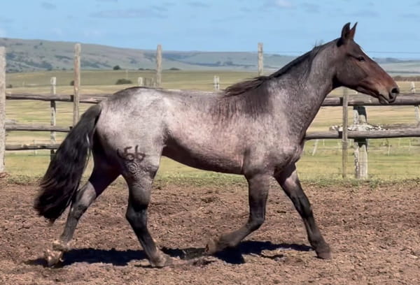 Lote MIGUELO DEL CEIBAL