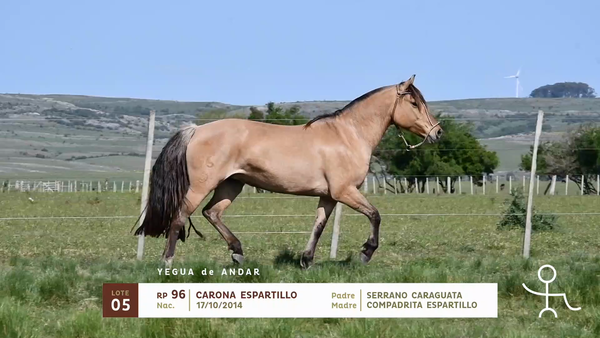 Lote CARONA ESPARTILLO