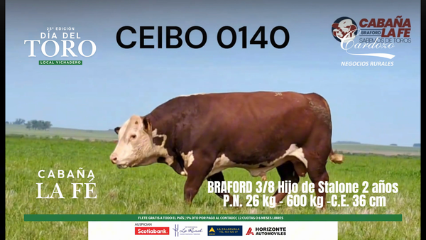 Lote Cabaña de la fe - Braford