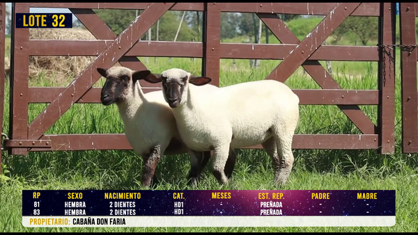 Lote LOTE 32